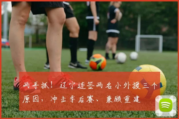 两手抓！辽宁连签两名小外援三个原因，冲击季后赛、兼顾重建