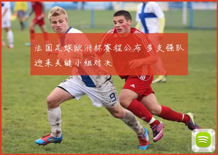 法国足球欧洲杯赛程公布 多支强队迎来关键小组对决