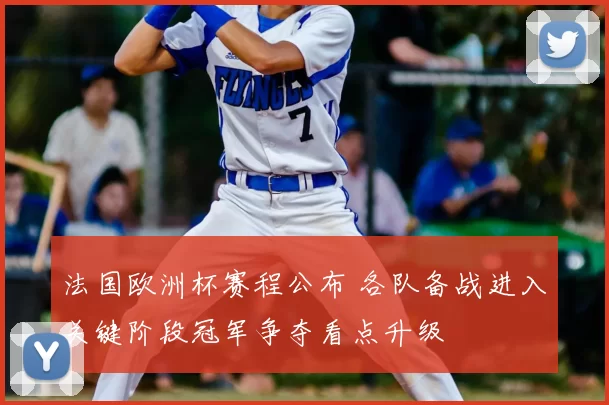 法国欧洲杯赛程公布 各队备战进入关键阶段冠军争夺看点升级