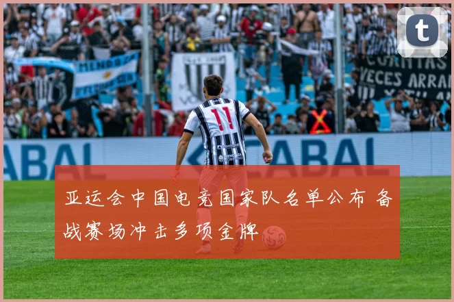 亚运会中国电竞国家队名单公布 备战赛场冲击多项金牌